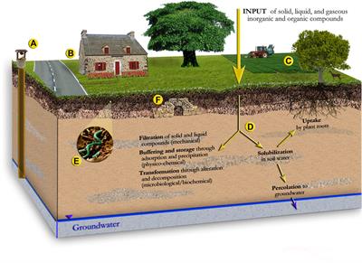 Editorial: Assessment and Modeling of Soil Functions or Soil-Based Ecosystem Services: Theory and Applications to Practical Problems